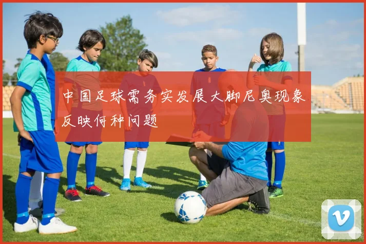 中国足球需务实发展大脚尼奥现象反映何种问题